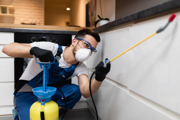 Best Pest Inspection Near Me  in Malone, FL