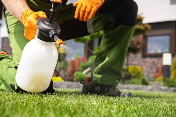 Pest Prevention Services in Malone, FL