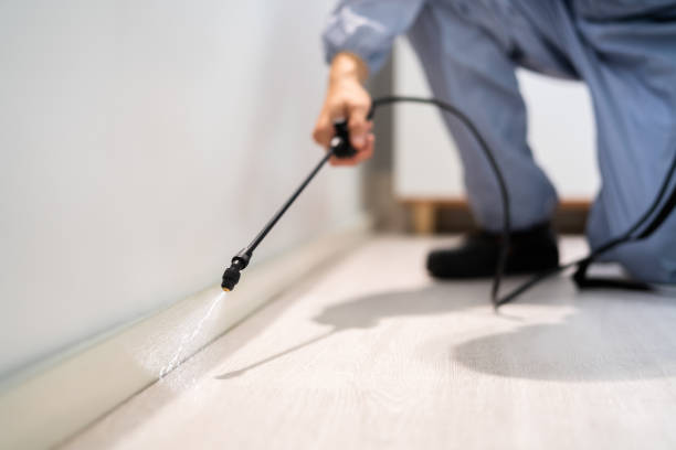 Best Residential Pest Control  in Malone, FL