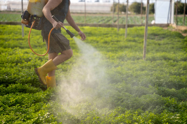 Reliable Malone, FL Pest Control Solutions