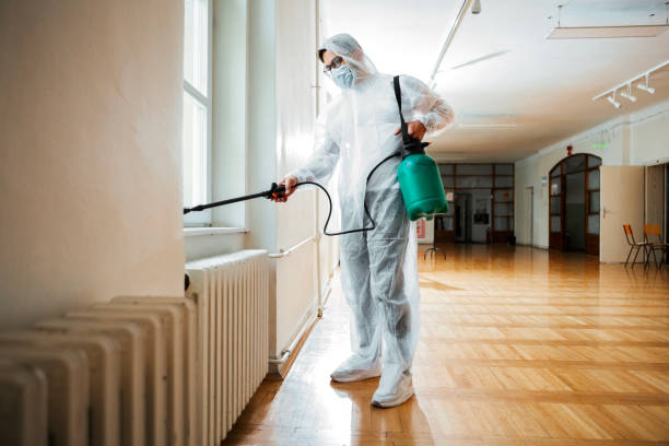 Best Affordable Pest Control Services  in Malone, FL