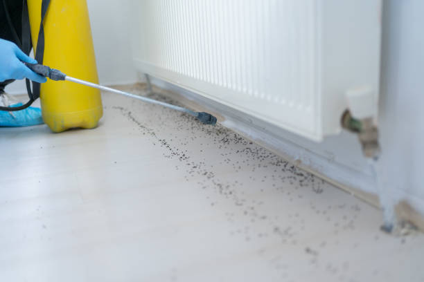 Best Residential Pest Control  in Malone, FL