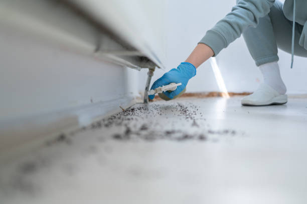 Best Pest Prevention Services  in Malone, FL